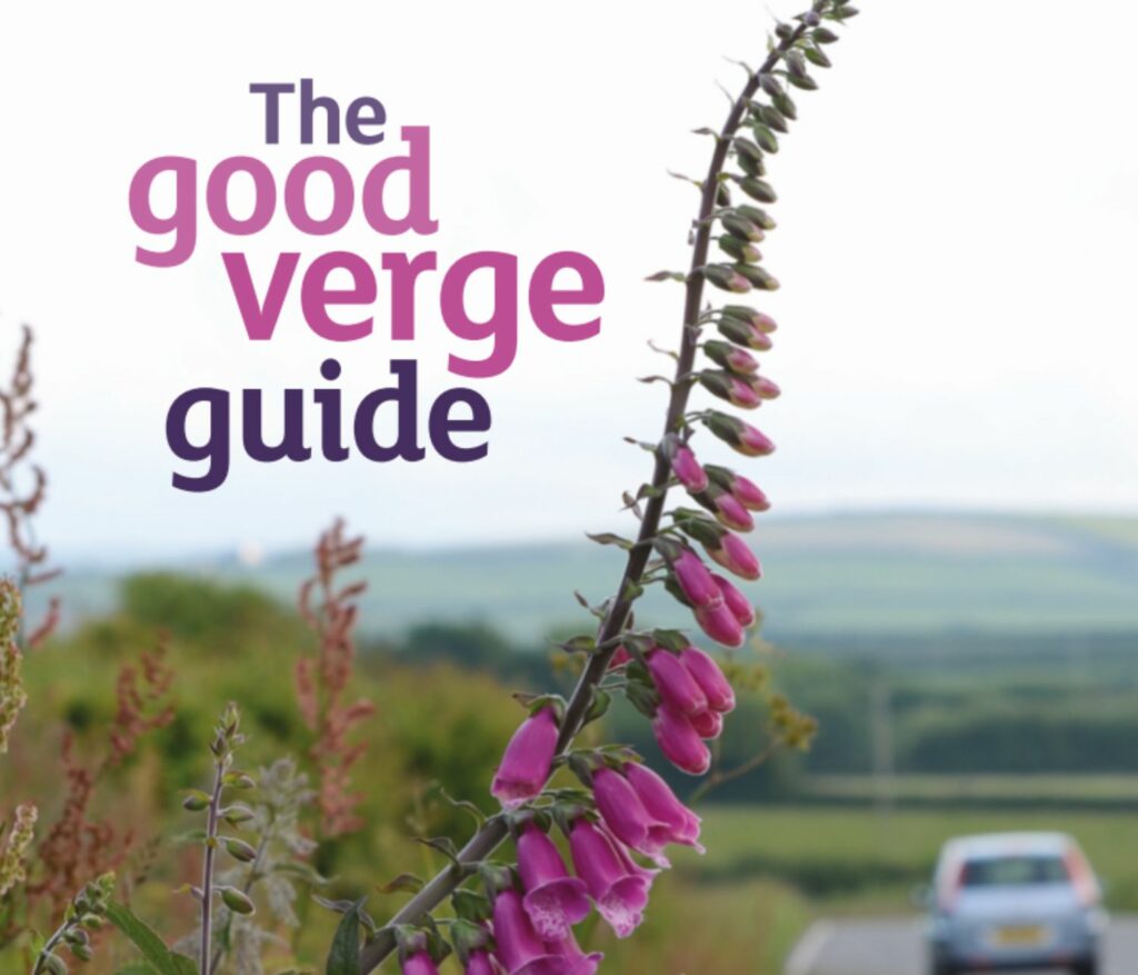 The Good Verge Guide front cover featuring a pink lupin and other flowers on the verge and a car driving away on the road