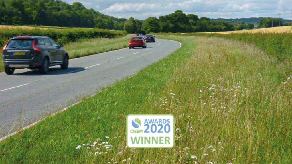 A picture of a road with several cars and wildflower verges