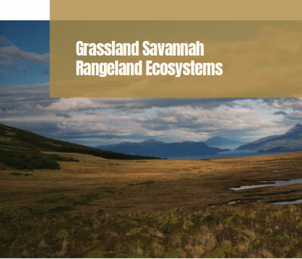 Grassland Savannah Rangeland Ecosystem title with mountains in the background of grasslands