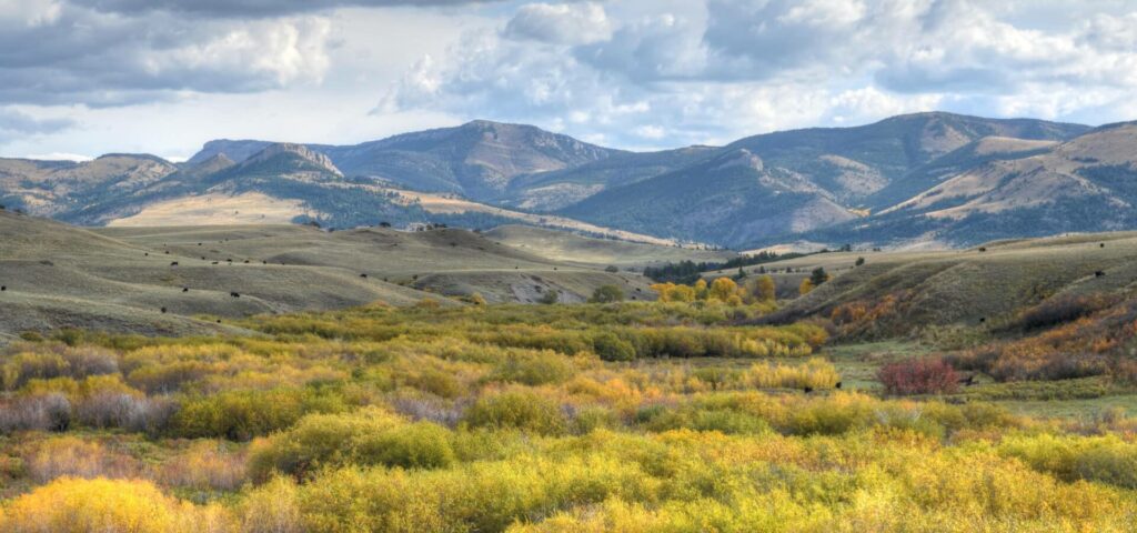 Mountainous area with some snow showing in some parts with small spiny shrubs dotted around the front of the mountains.