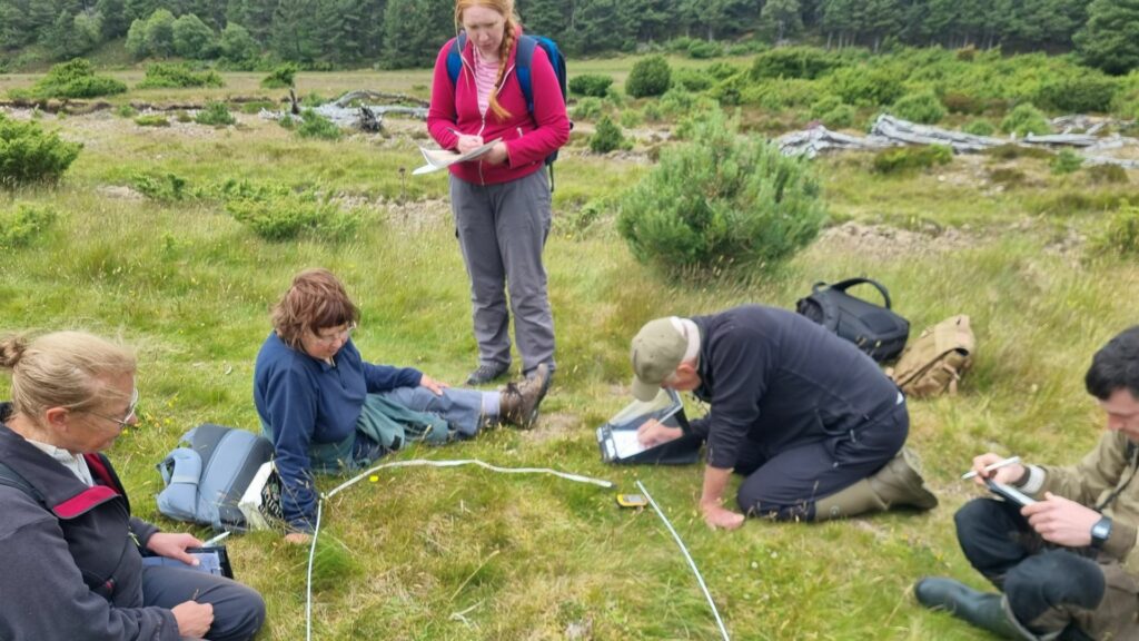Four people sitting on a grass and one person standing up surveying the grazing