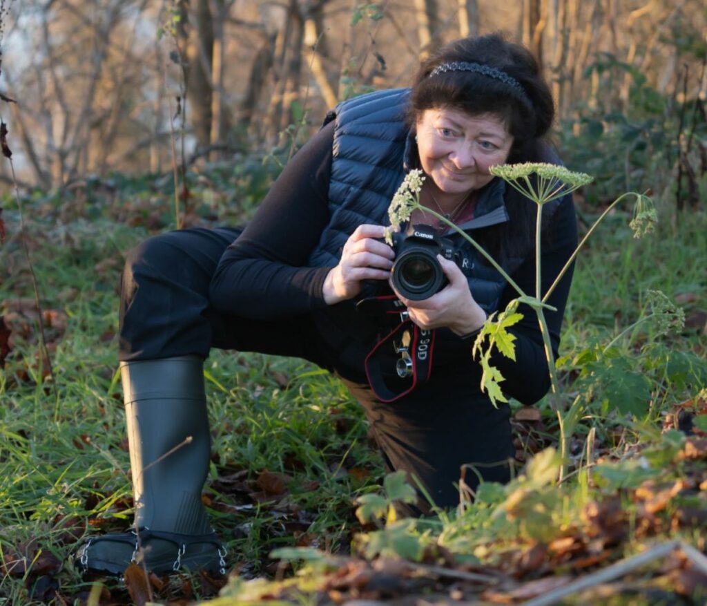 A person holding a camera about to take a photo of a plant.