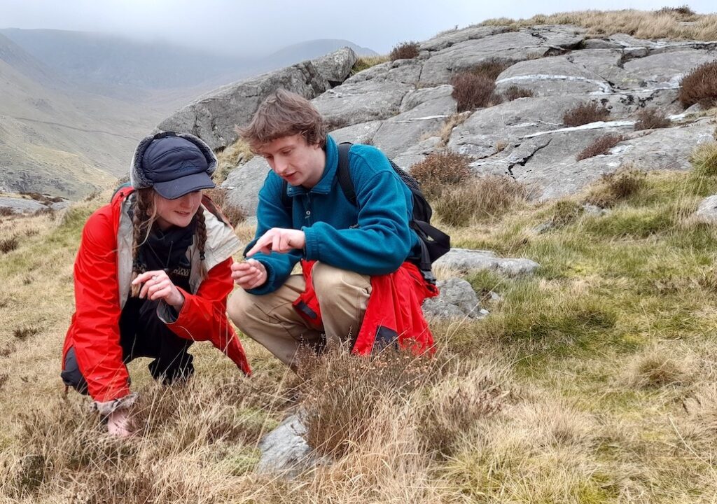 Two people with looking at a plant with the mountain in the back drop