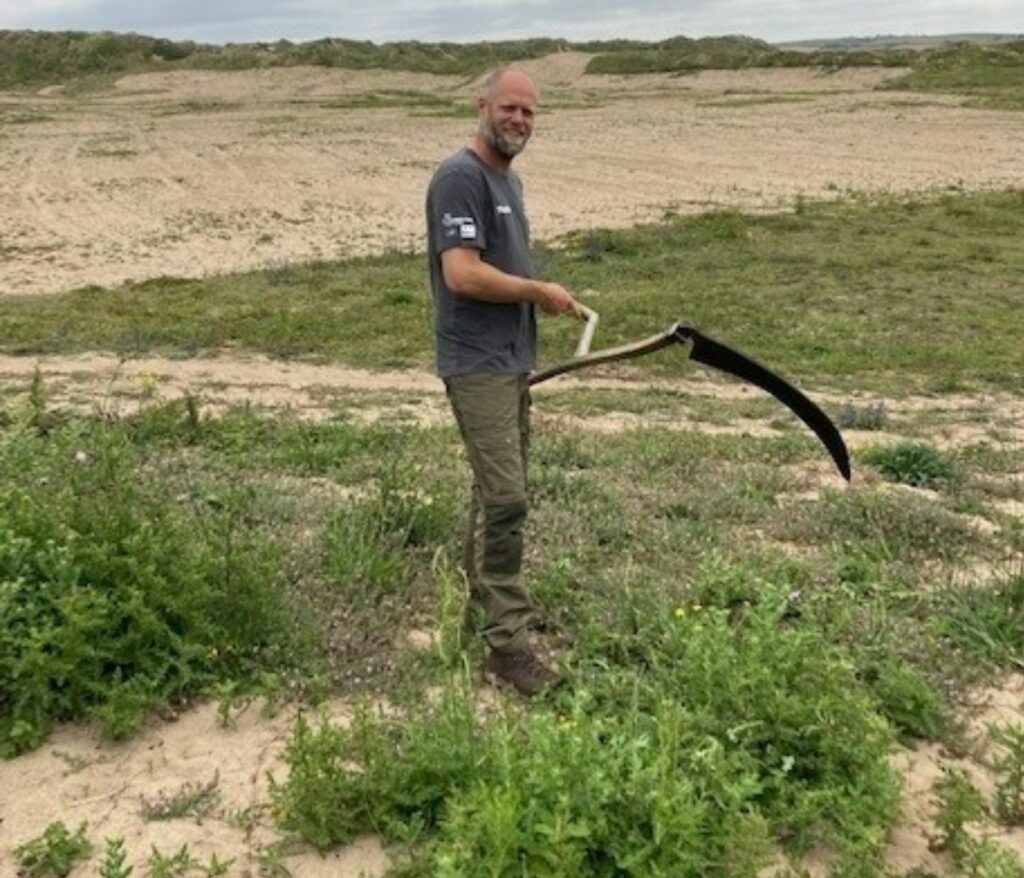 A person standing and holding a scythe over grass in dunes