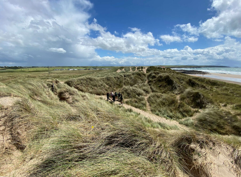 Tywyn Llyn Sand dunes showing a summers day overlooking dune grassland