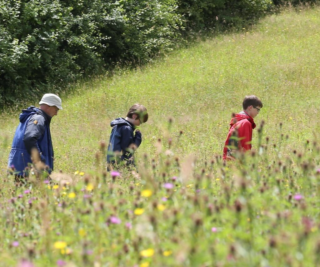 Family walking through long meadow grass.