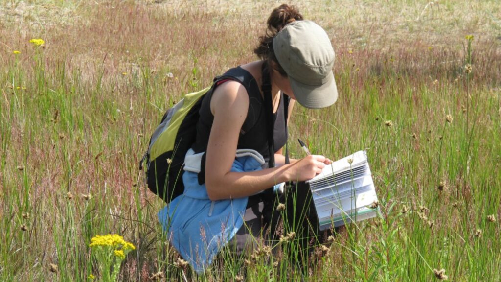 A person wearing a hat and backpack, squatting in a field of grass writing on a book