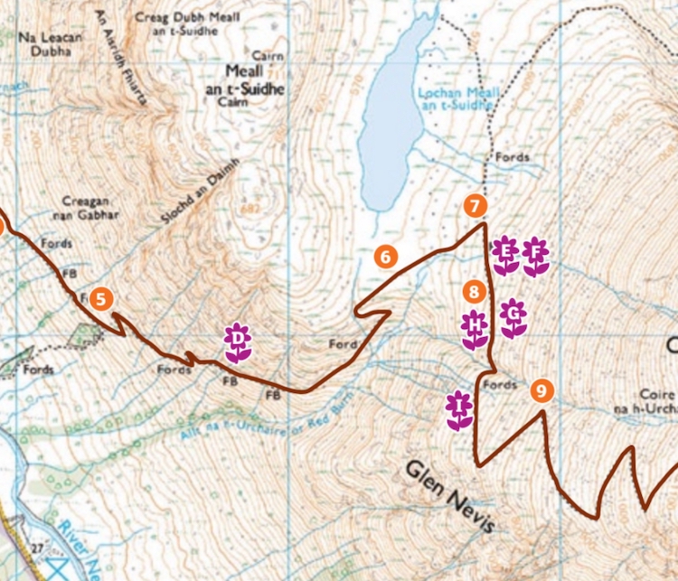 A part of the map for the wildflower walk in Ben Nevis, Scotland.