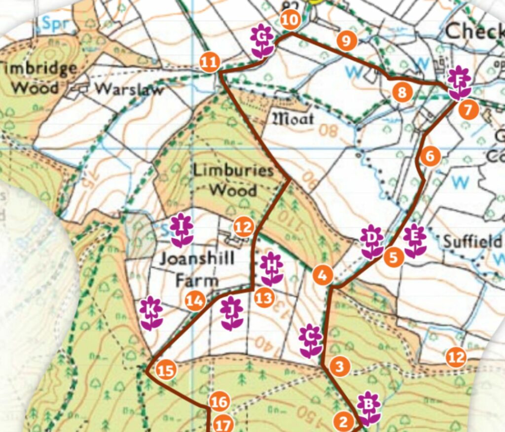 A part of the map for the wildflower walk in Joan’s Hill Farm.