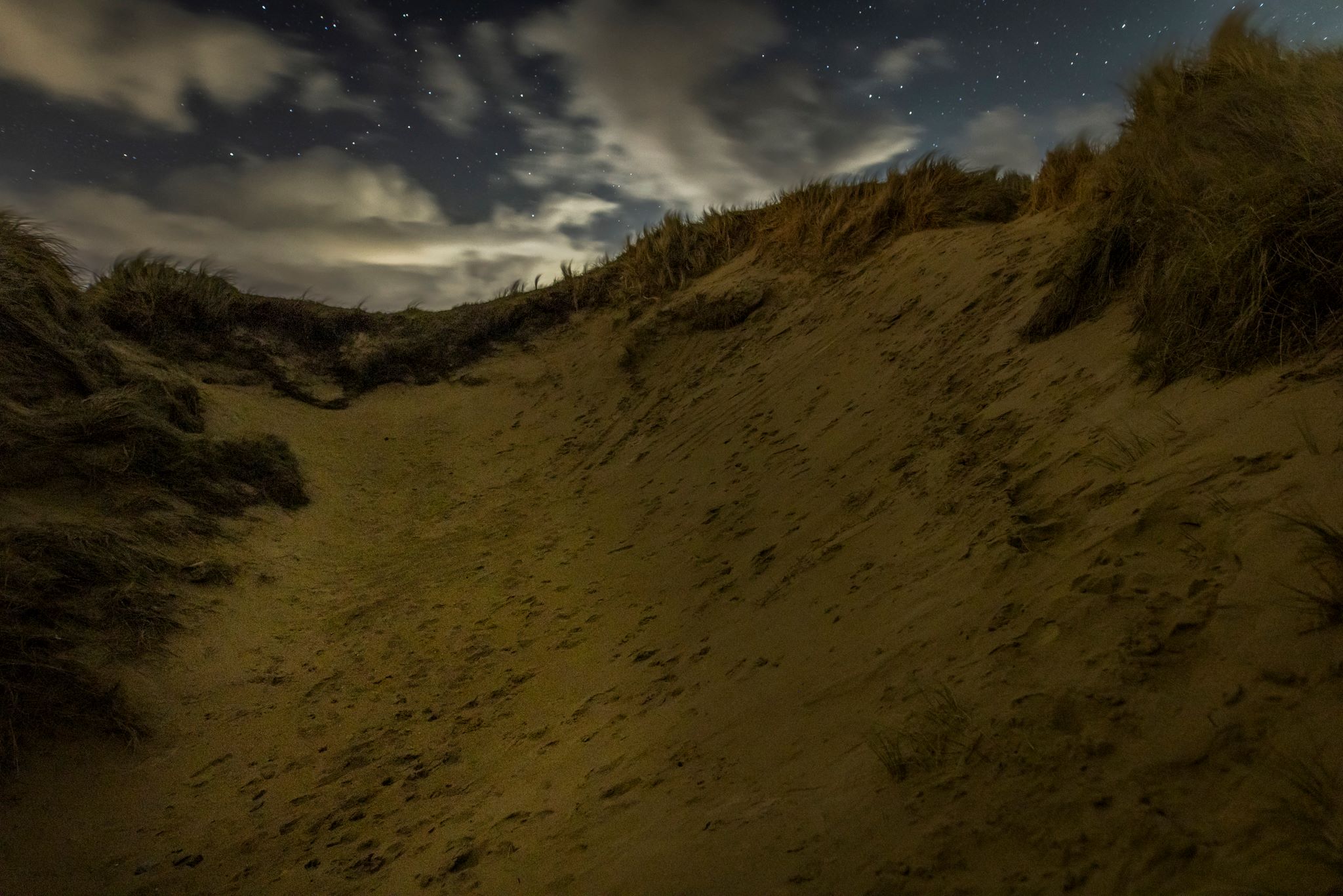 Dynamic Dunescapes Project - Wales - Plantlife