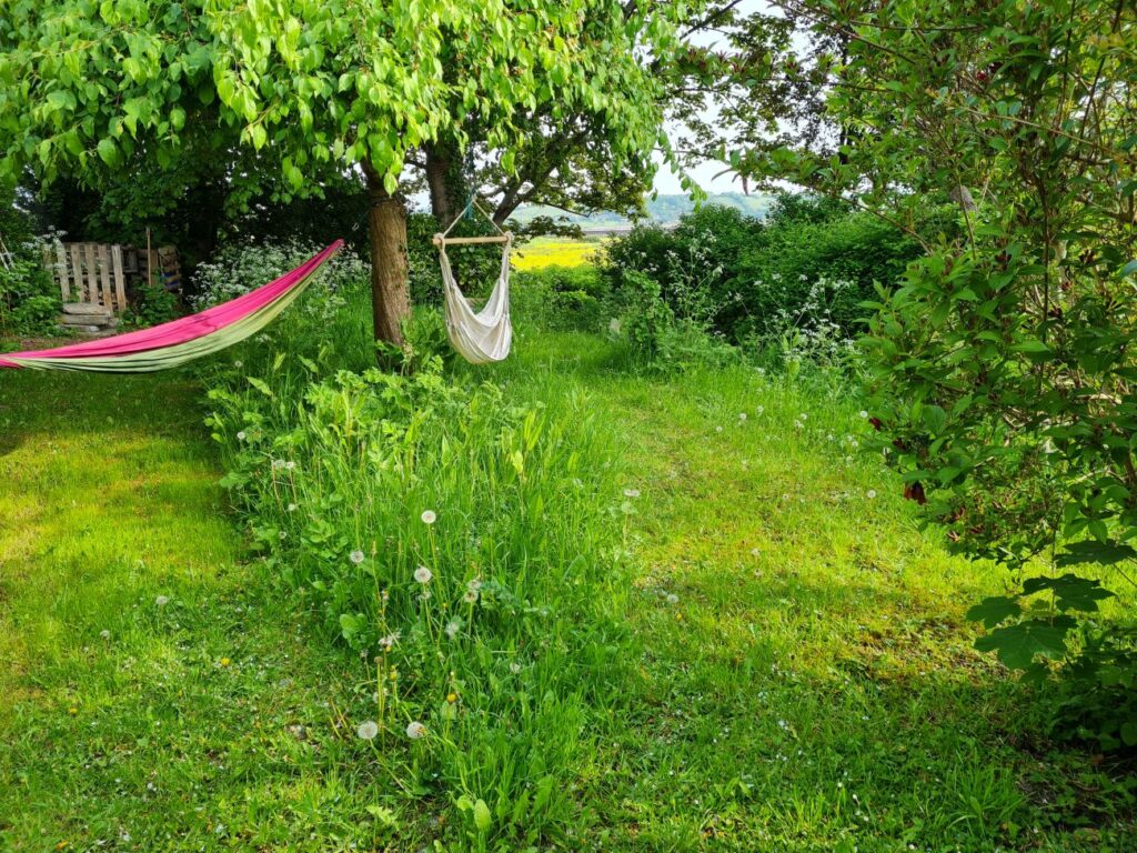 A garden with long grass and mown paths with hammocks hanging from trees