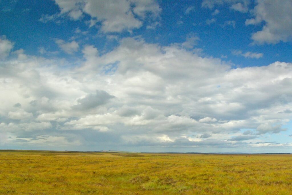 Looking out across the Munsary Peatlands Nature Reserve