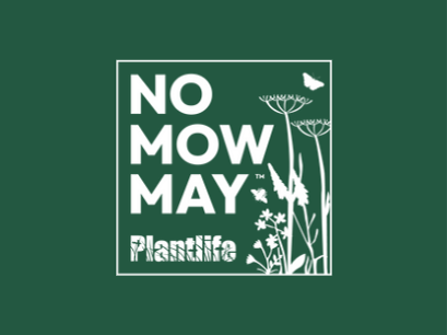 No Mow May logo on a green background with white illustration of flowers