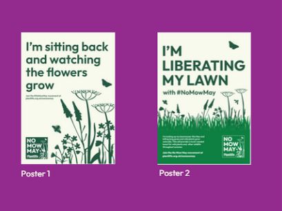 Example of No Mow May posters one with I am sitting back and watching the flower grow and the other say I'm liberating my lawn