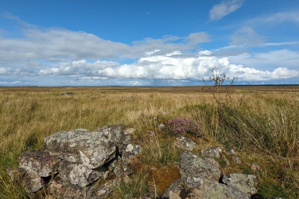 View across Munsary Peatlands,