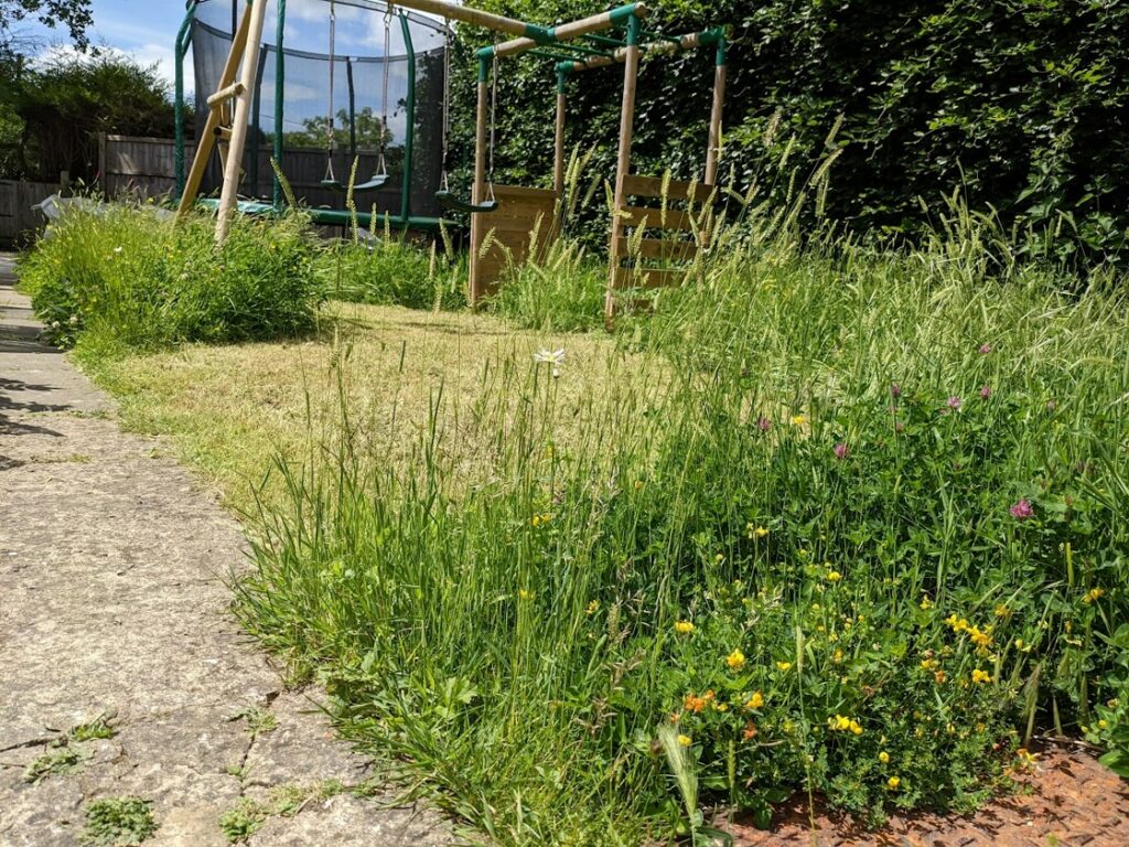 When not to mow lawn hotsell