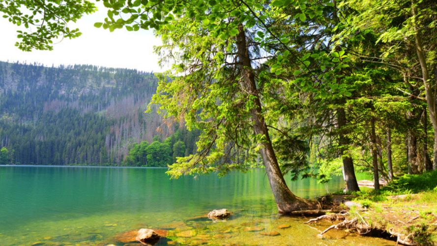 Turquois lake with trees around and mountain as backdrop