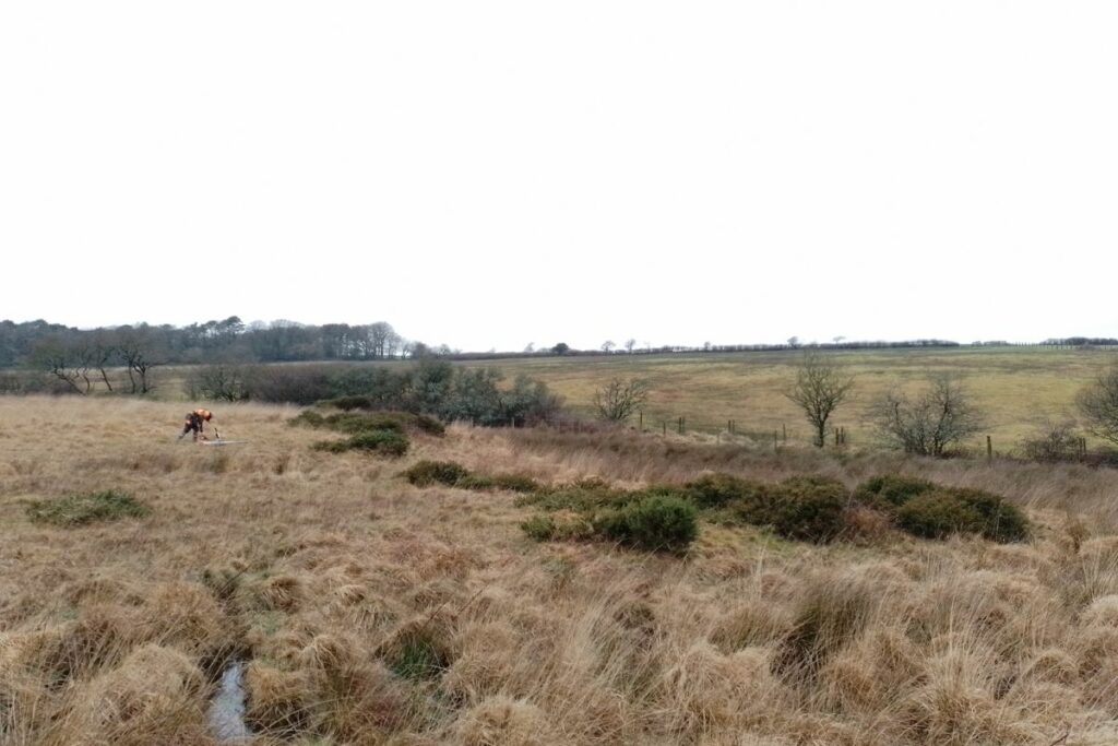 Brush cutting at Greena Moor