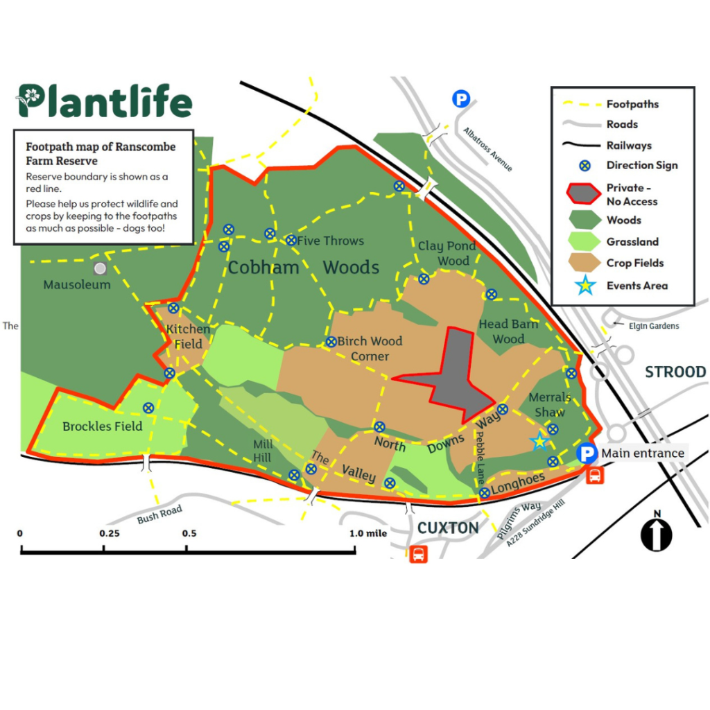 Map of a nature reserve called Ranscombe Farm showing the land, paths and roads.