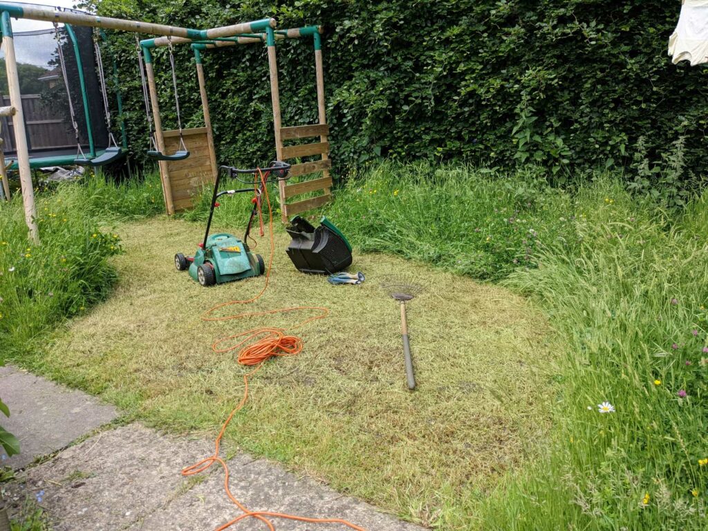 A mown lawn with tools used for cutting grass, surrounded by a flowering tall grass border