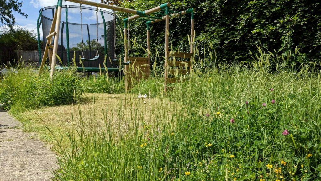 Play equipment in a garden, with a short mown area surrounded by long grass and wildflower