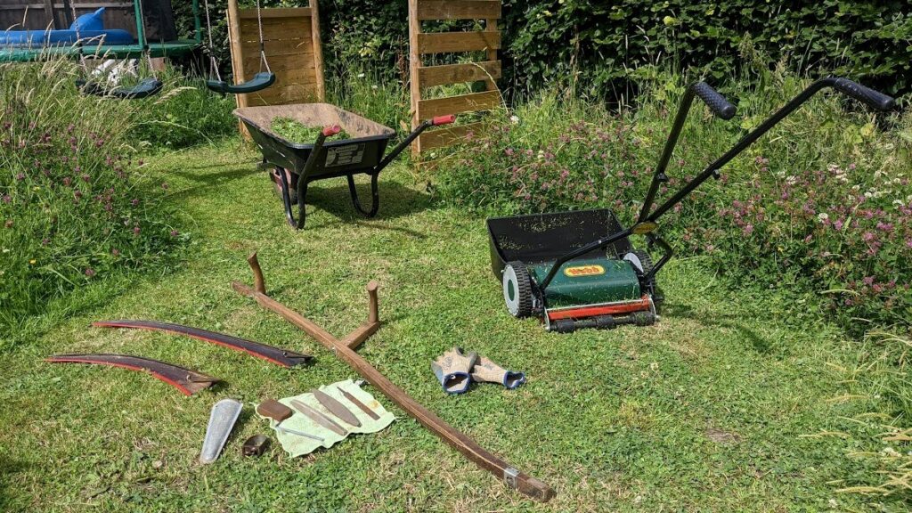 A mown lawn with tools used for cutting grass, surrounded by a flowering tall grass border