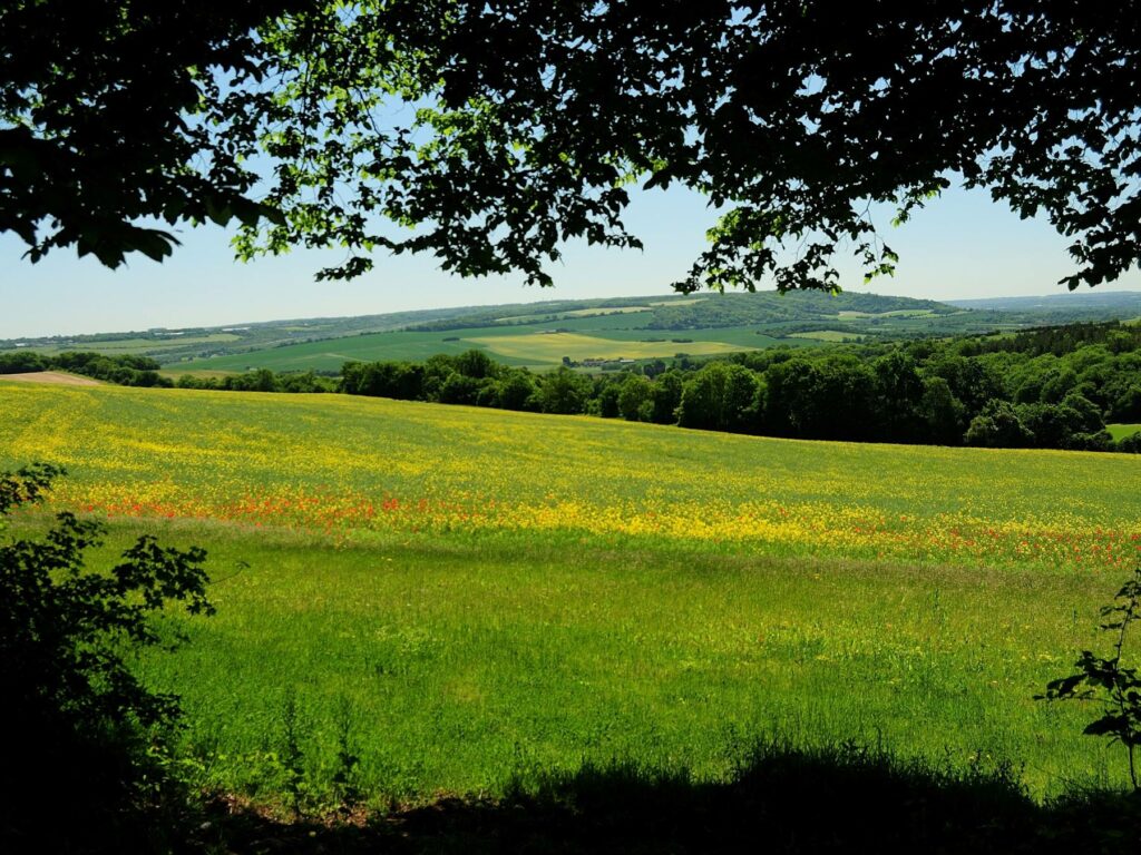 Ranscombe Farm Landscape