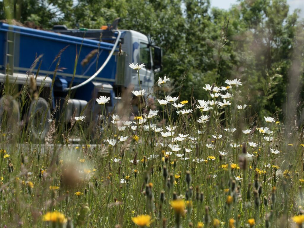 A lorry passing a road verge full of wildflower