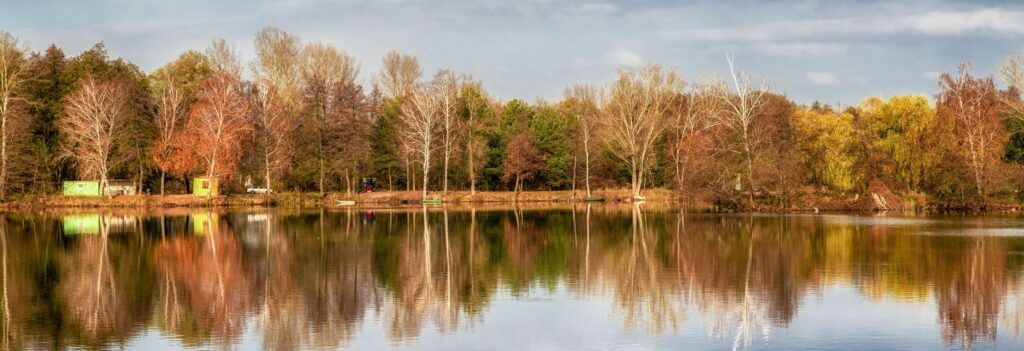 Forest of tree in the autumn behind a lake