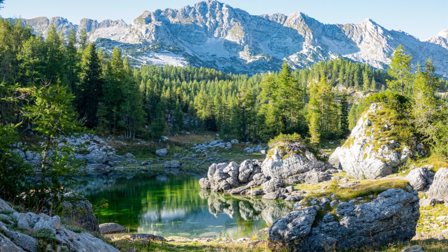 Crystal clear lake in front of coniferous trees -backdrop by mountains