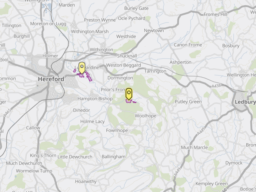 Joan's Hill map