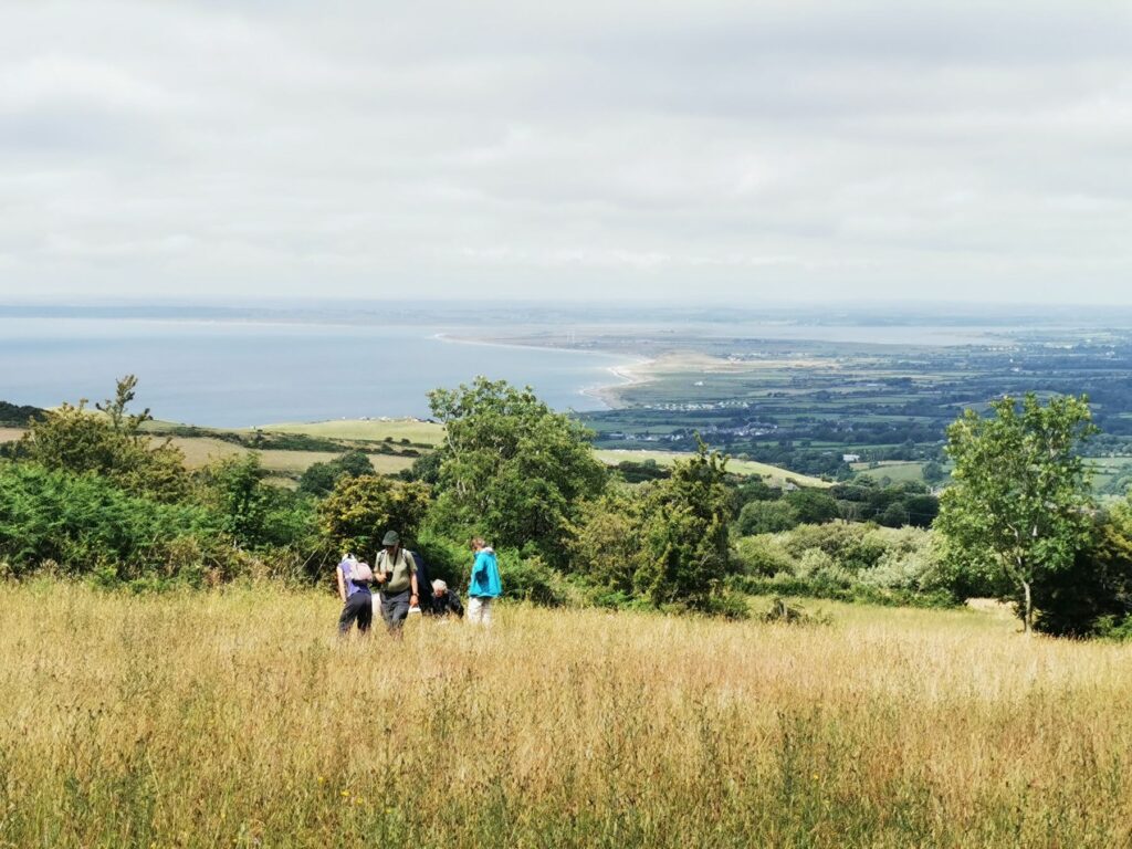 Volunteers counting orchids at Caeau Tan y Bwlch nature reserve