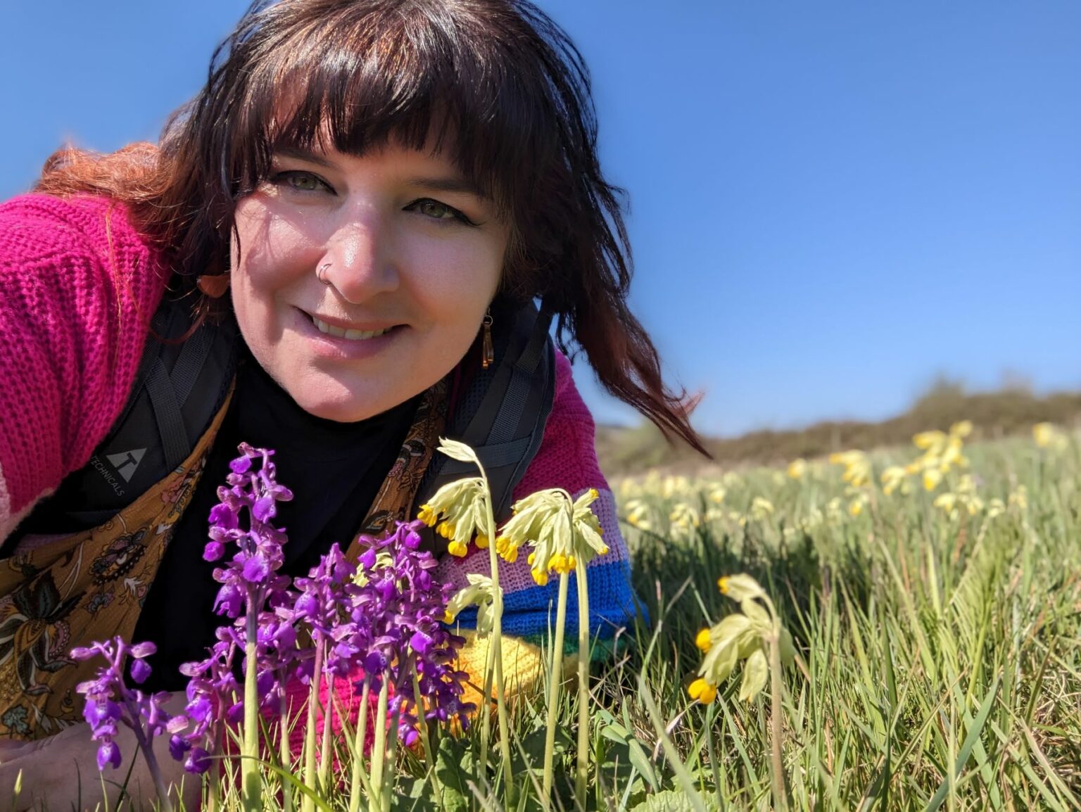 Where and When to see Wild Orchids in the UK Plantlife