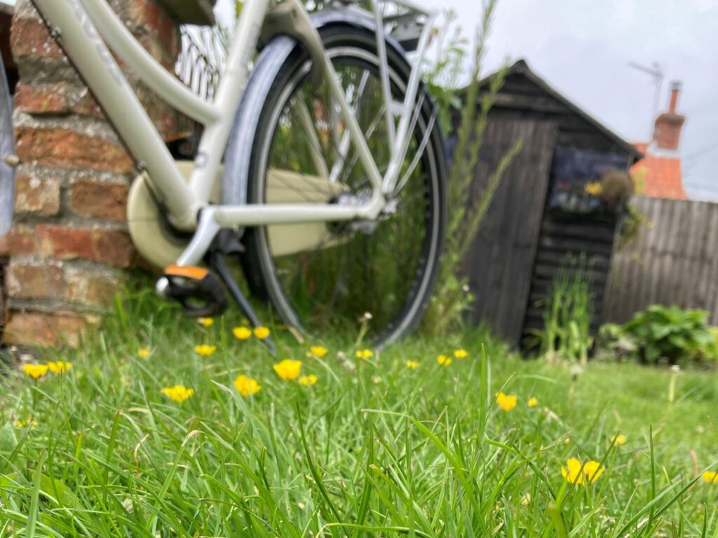 No Mow May garden lawn with bike