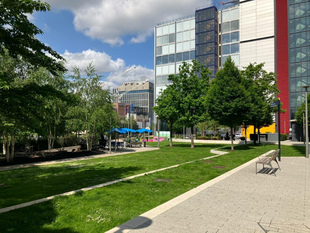 No Mow May urban green space