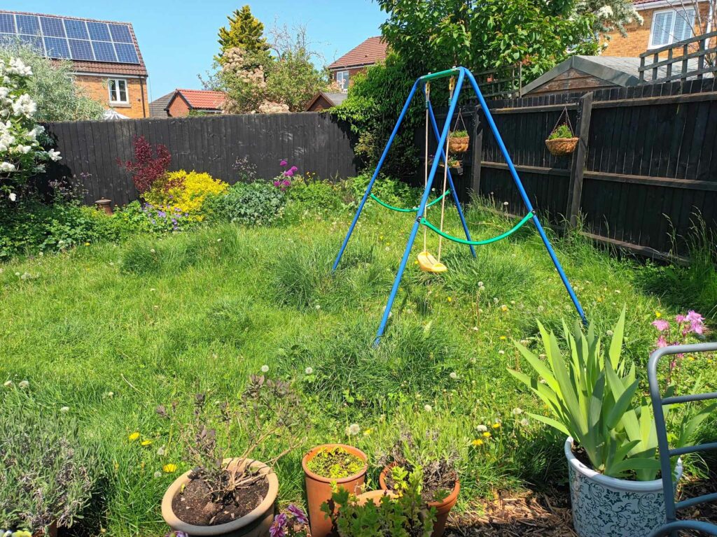 No Mow May garden lawn