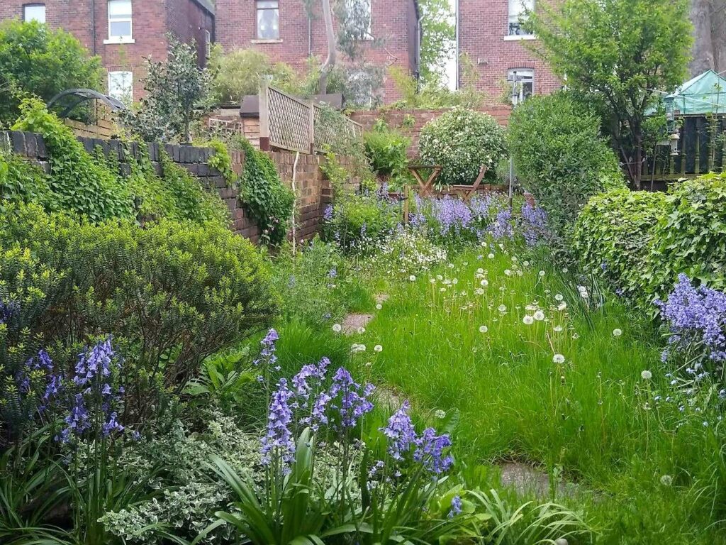 A lush garden filled with plants in an urban setting