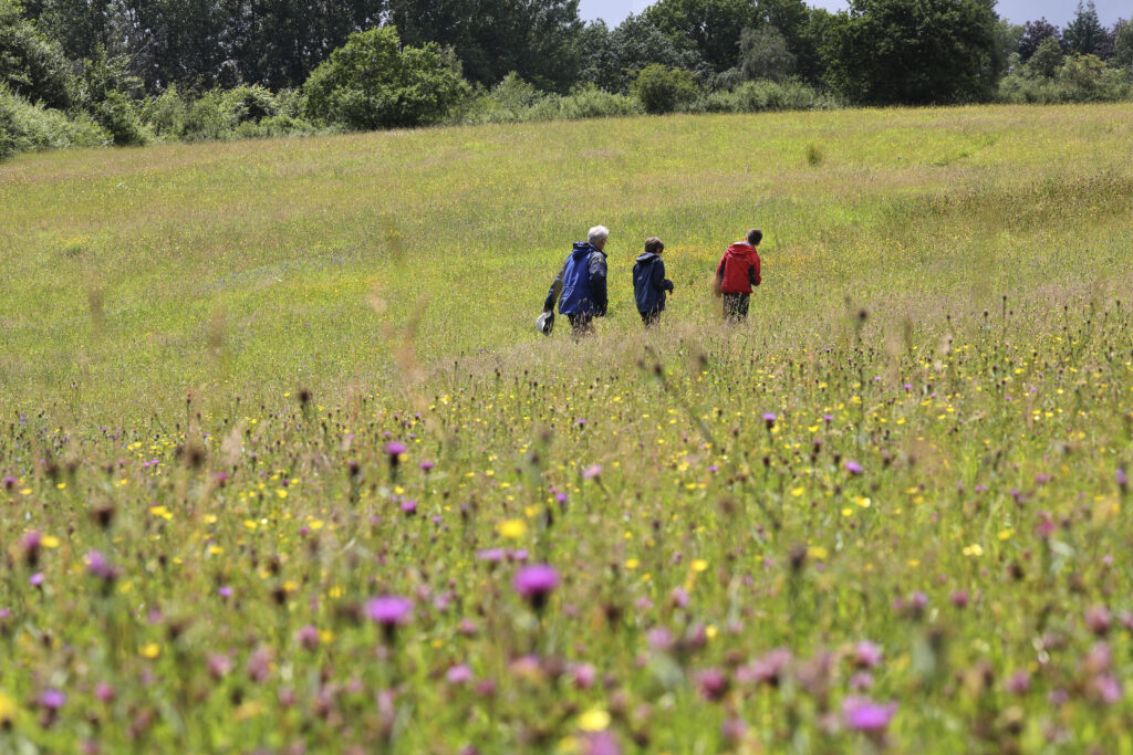 three people in a grass field of yellow and purple flowers