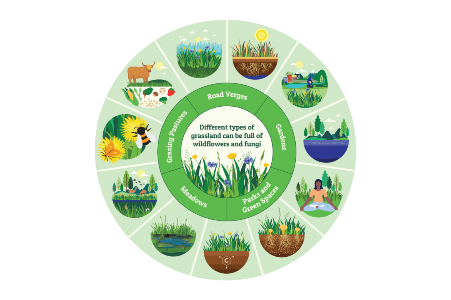 The Grassland Gap Plantlife