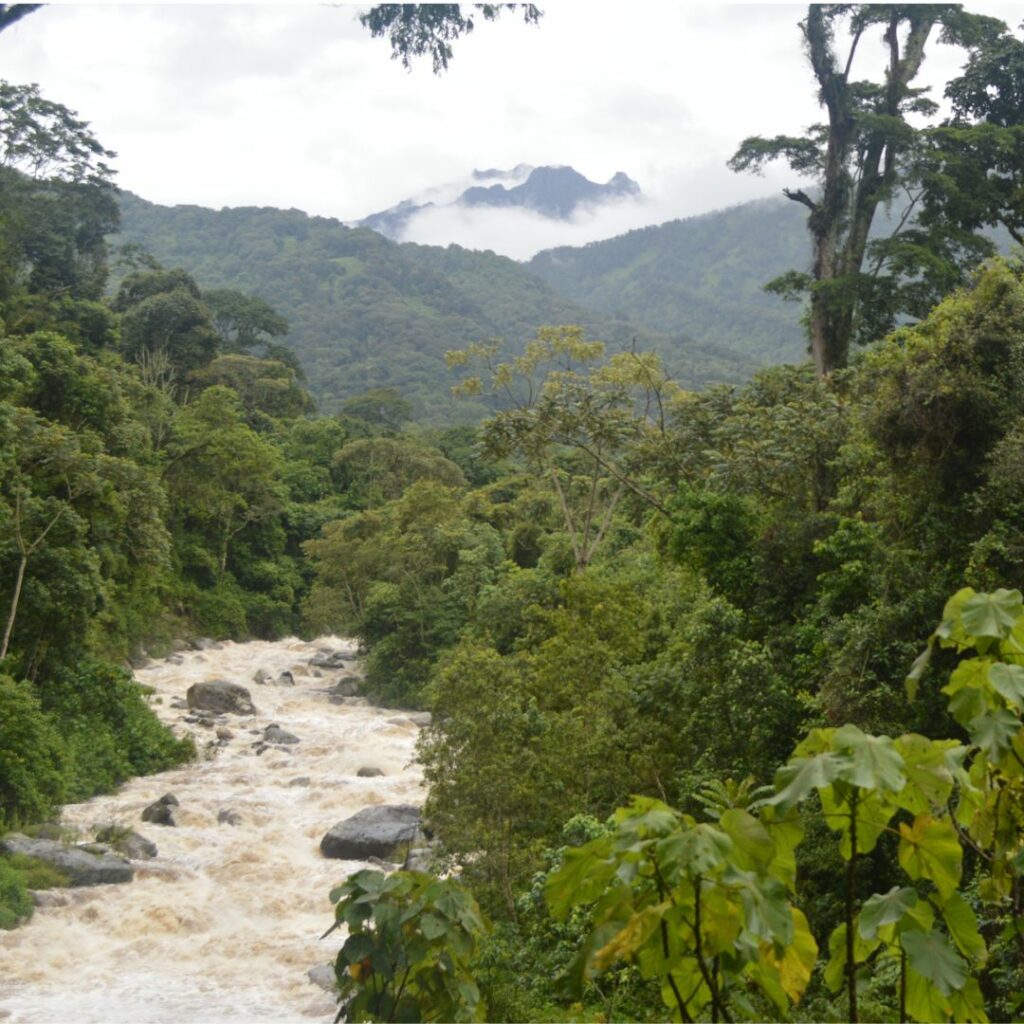 Narrow river in foreground with mountain range in the background