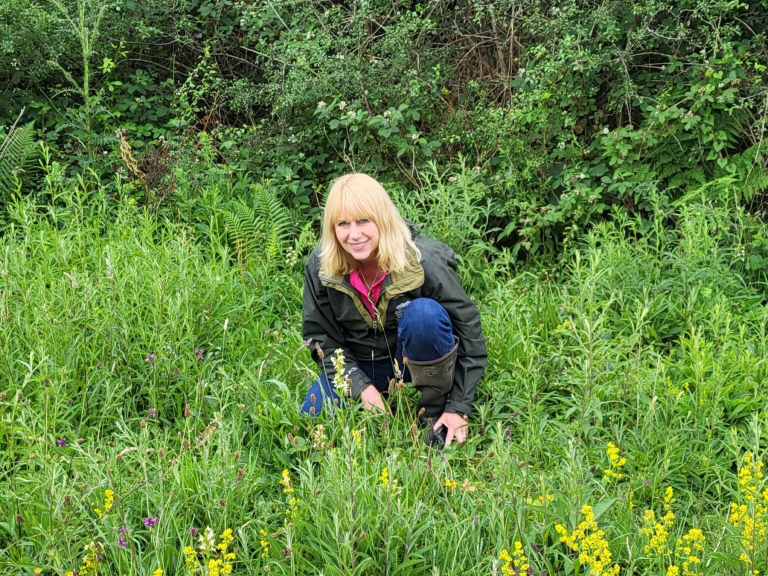 3 Mobile Apps to Identify Wildflowers on Your Phone Plantlife