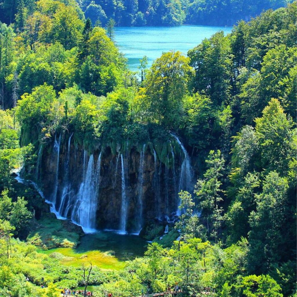 Waterfall falls from lake in tree covered area