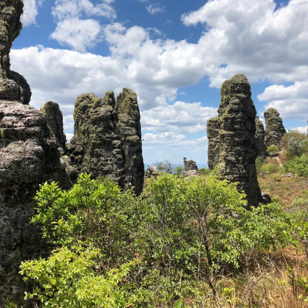 Tall rock columns