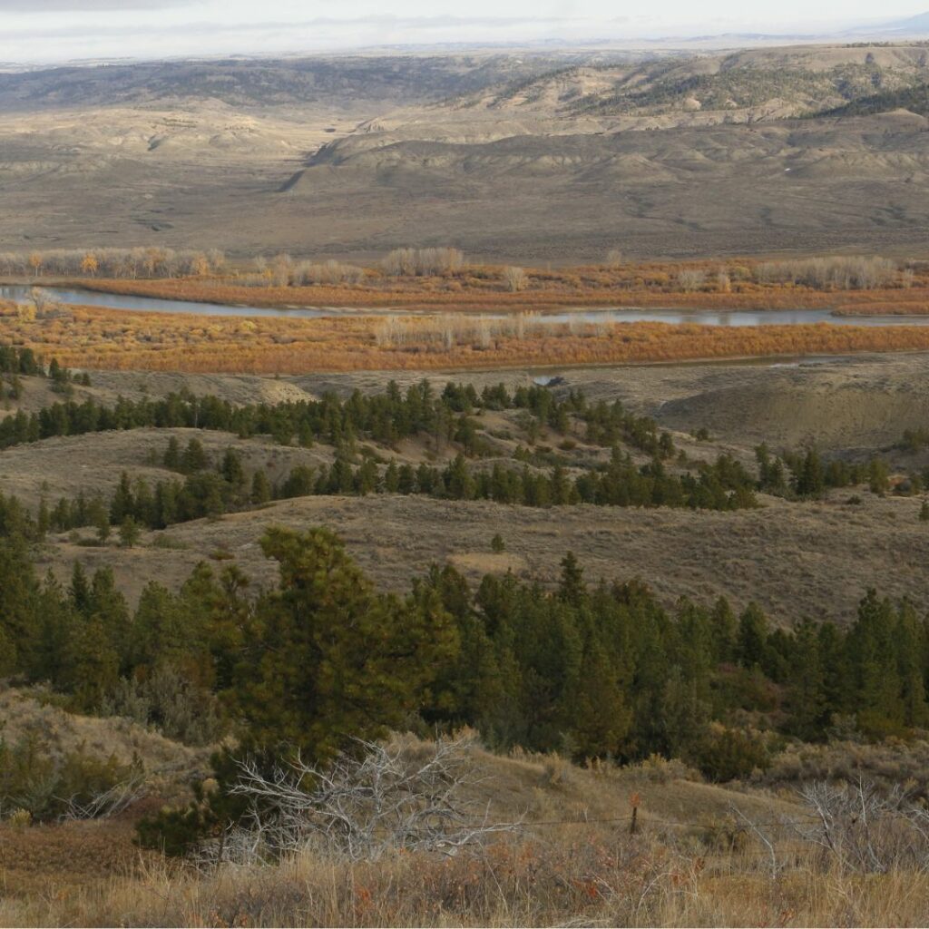 Dry open landscape