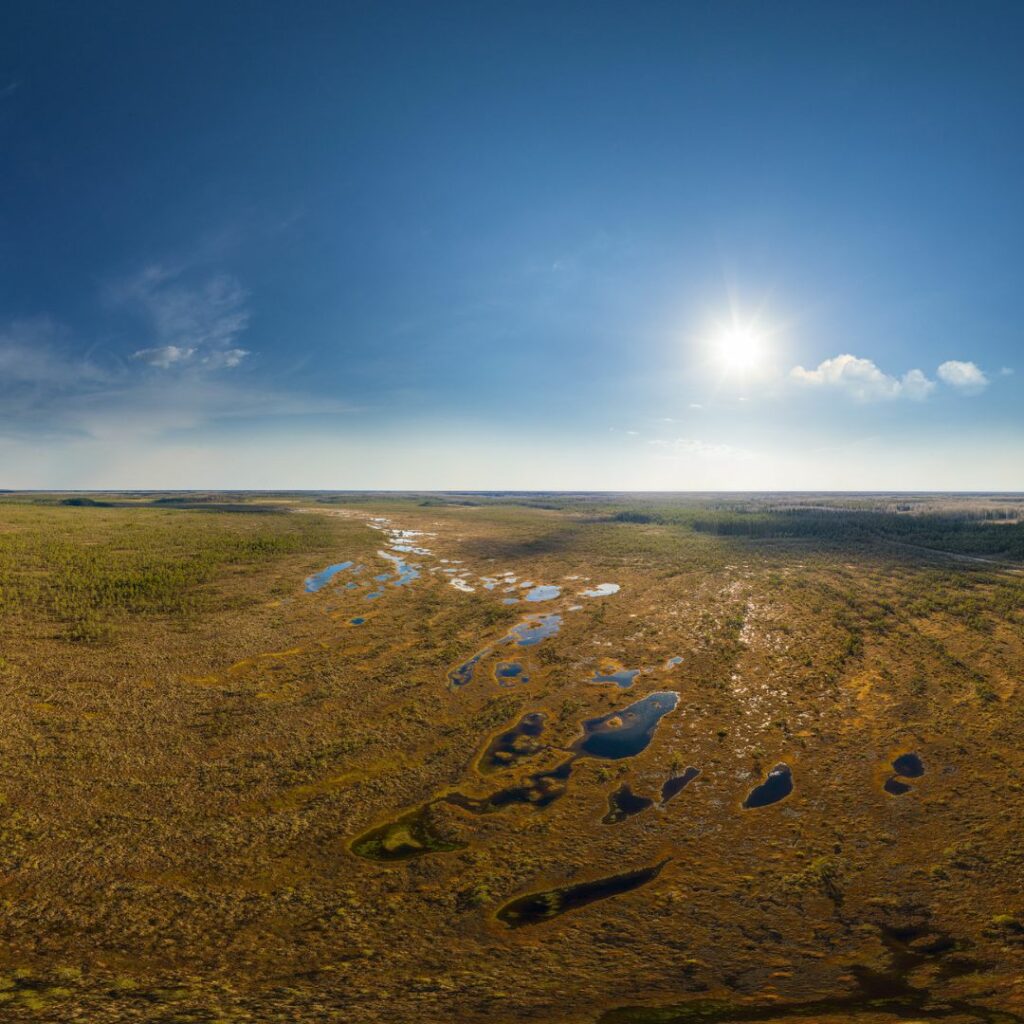 Aerial view of wetland