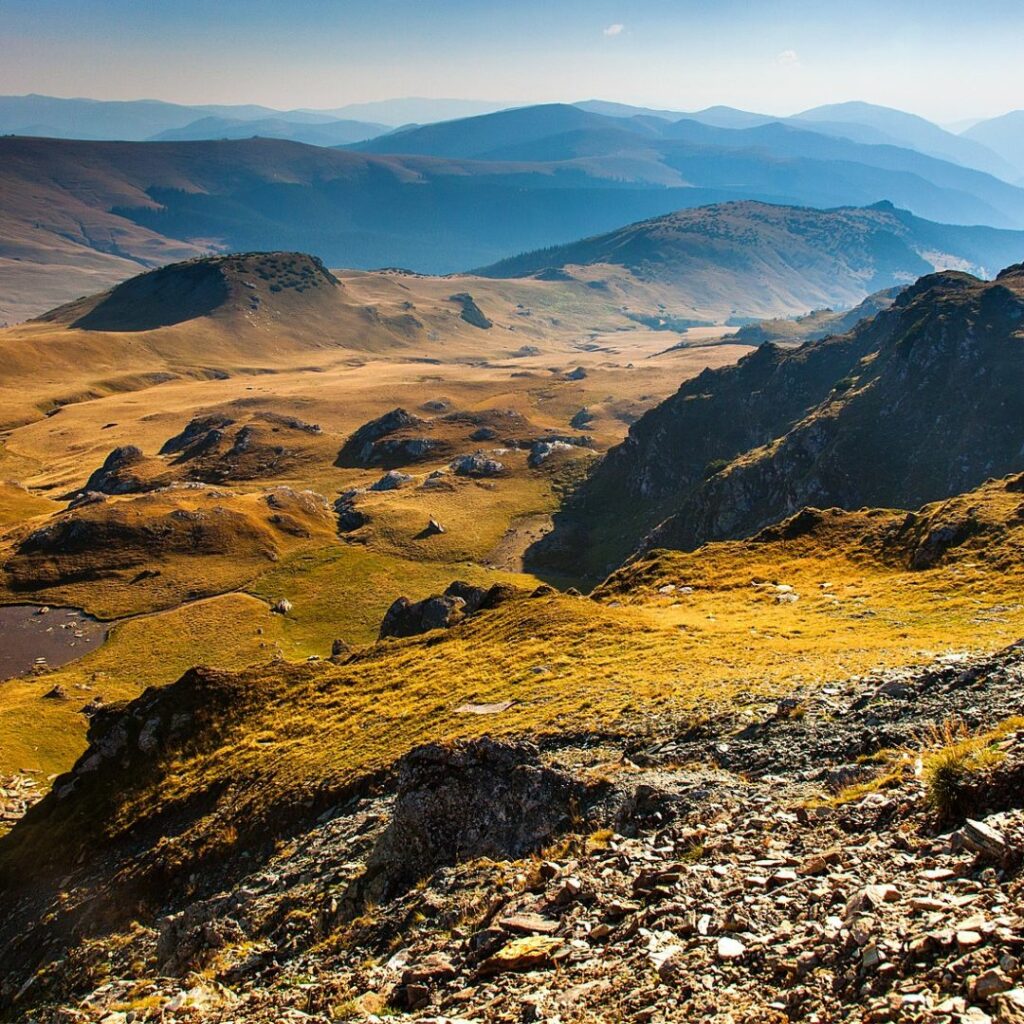 Grassy tops of mountains
