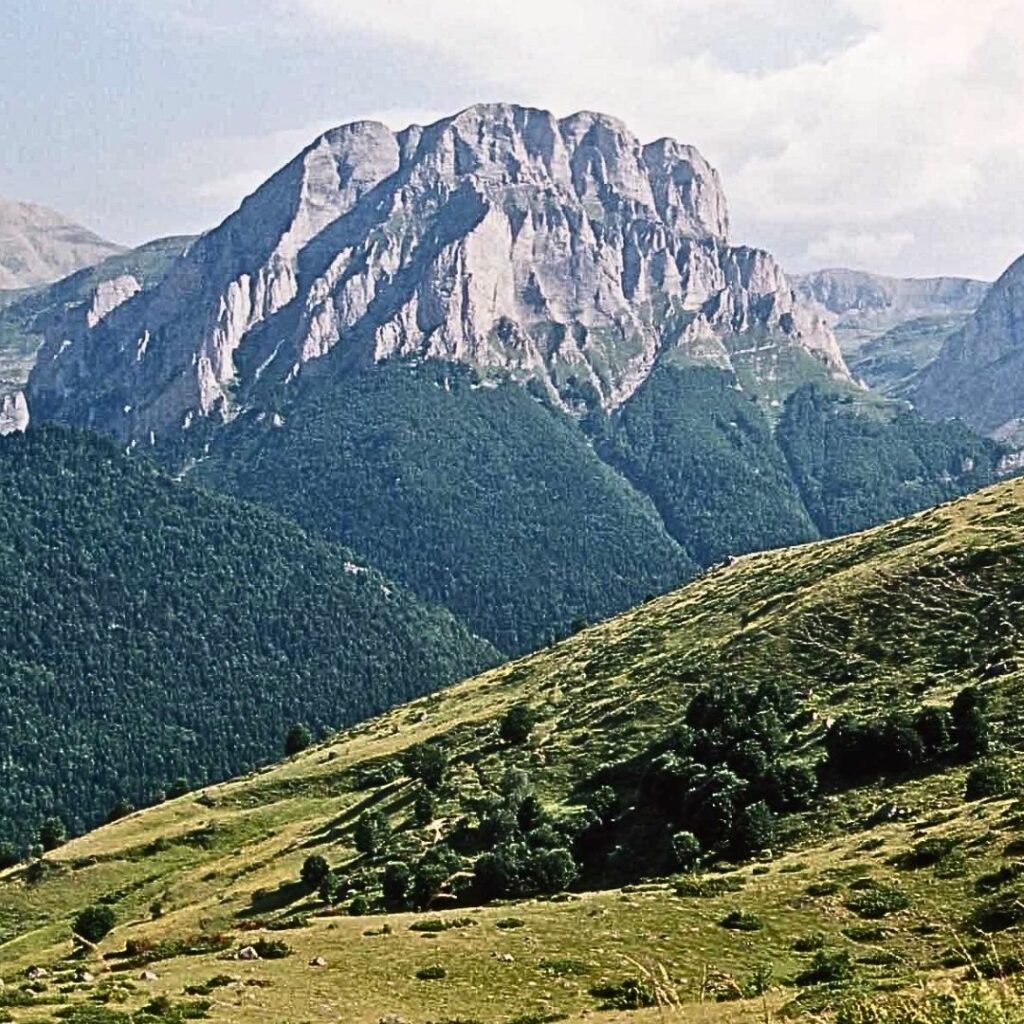 Mountain back drop with sloping grass and woodland in foreground.