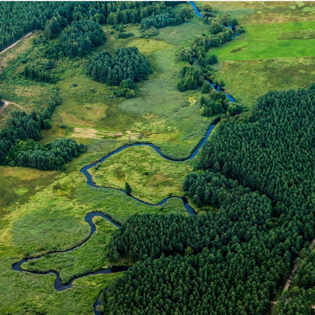 Meandering river moving through fields and near forestry.