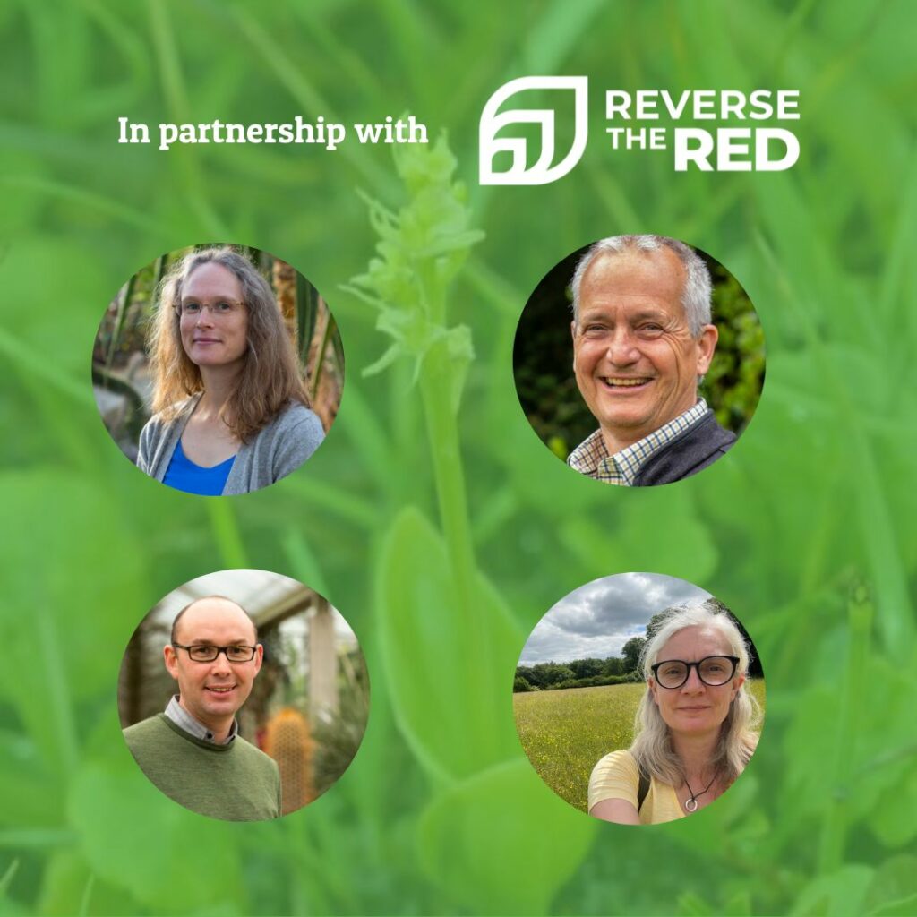Reverse the red four headshot of the panellist speaking at the webinar