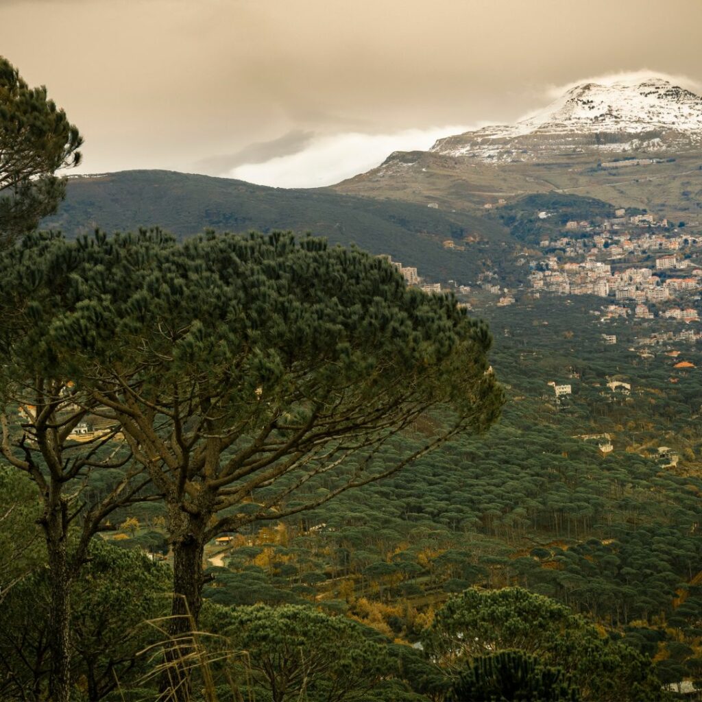 Mountainous landscape